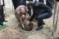 گزارش تصویری: برگزاری مراسم کاشت نهال در دانشگاه هنر همزمان با روز درختکاری