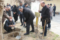 گزارش تصویری: برگزاری مراسم کاشت نهال در دانشگاه هنر همزمان با روز درختکاری